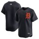 Men's Detroit Tigers  Nike Navy  Alternate Limited Jersey