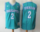 Men's Charlotte Hornets #2 Larry Johnson 1992-93 Blue Hardwood Classics Soul Swingman Throwback Jersey With Adidas