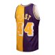 Men's Los Angeles Lakers Jerry West Mitchell & Ness Purple/Gold Hardwood Classics 1971/72 Split Swingman Jersey