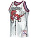 Men's Toronto Raptors Vince Carter Mitchell & Ness Platinum 1998/99 Hardwood Classics 75th Anniversary Swingman Jersey