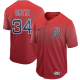 Men's Nike Boston Red Sox #34 David Ortiz Red Fade MLB Jersey