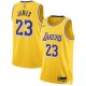 Unisex Los Angeles Lakers LeBron James Nike Gold Swingman Jersey - Icon Edition